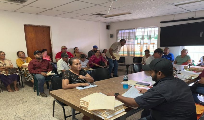 Amplían ventanillas para apoyo de sorgo, trigo y&nbsp;diésel