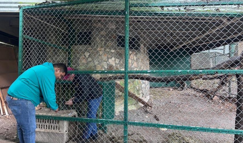 Por onda gélida, permanecerán cerrados parques de la&nbsp;Comisión