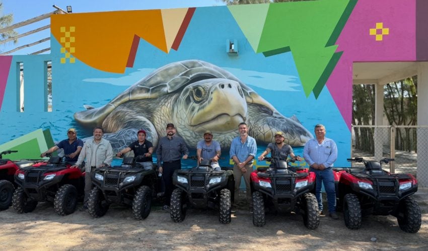 Vigilarán seis campos tortugueros en Tamaulipas con 14&nbsp;cuatrimotos