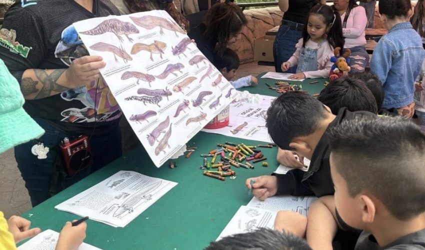 Inicia Comisión de Parques ciclo de talleres en sus&nbsp;recintos