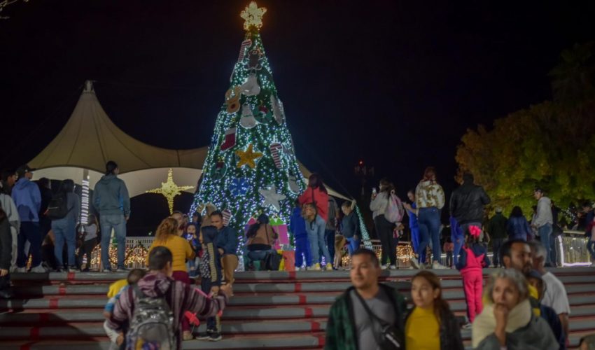 Ilumina pino navideño corazones de asistentes al Parque&nbsp;Tamatán