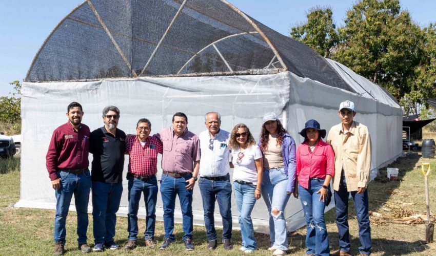 Reciben estudiantes del Instituto Tecnológico Superior de El Mante asesoría en técnicas de sistemas de agricultura&nbsp;protegida