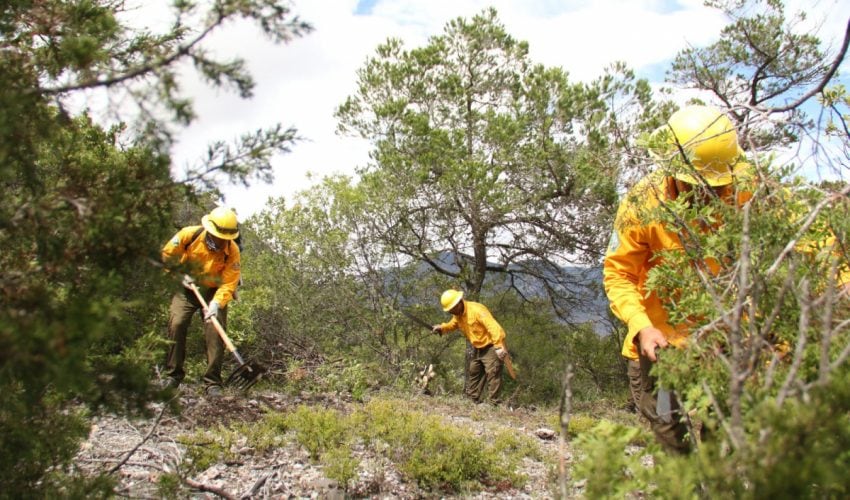 Fortalece Tamaulipas respuesta ante incendios&nbsp;forestales