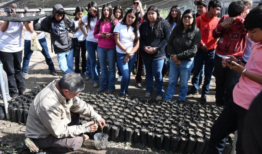 Impulsa Secretaría de Desarrollo Rural capacitación forestal en estudiantes de&nbsp;bachillerato