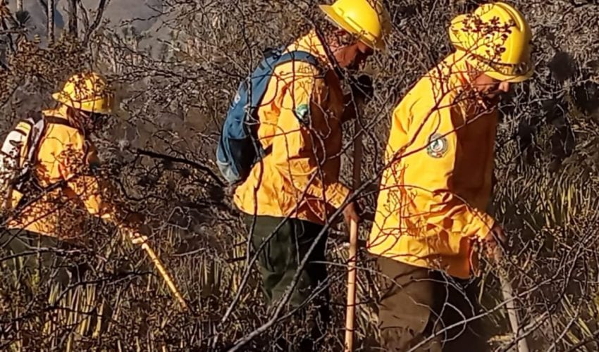Refuerzan brigadistas de la SEDUMA combate a incendio de pastizales en&nbsp;Tula