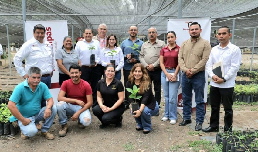 Promueven Gobierno del Estado y Congreso de Tamaulipas reforestación&nbsp;ambiental