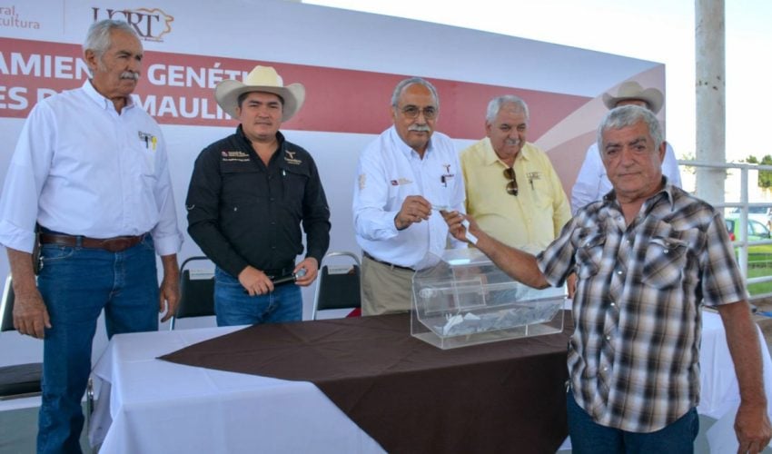 Destina Gobierno de Tamaulipas 19 millones de pesos para mejoramiento&nbsp;genético