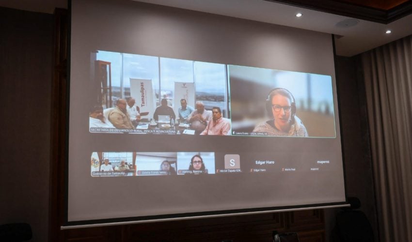 Gobernador Américo Villarreal y autoridades de México y EUA, fortalecen acciones contra tuberculosis&nbsp;bovina