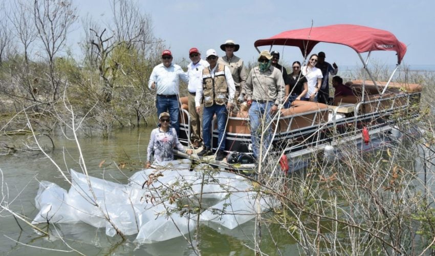 Siembran lobinas en la presa Vicente Guerrero para impulsar la pesca&nbsp;deportiva