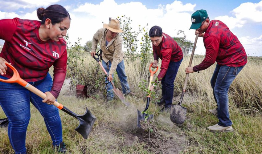 Realiza INJUVE Tamaulipas Segunda Jornada de Reforestación Comunitaria en Valle&nbsp;Hermoso