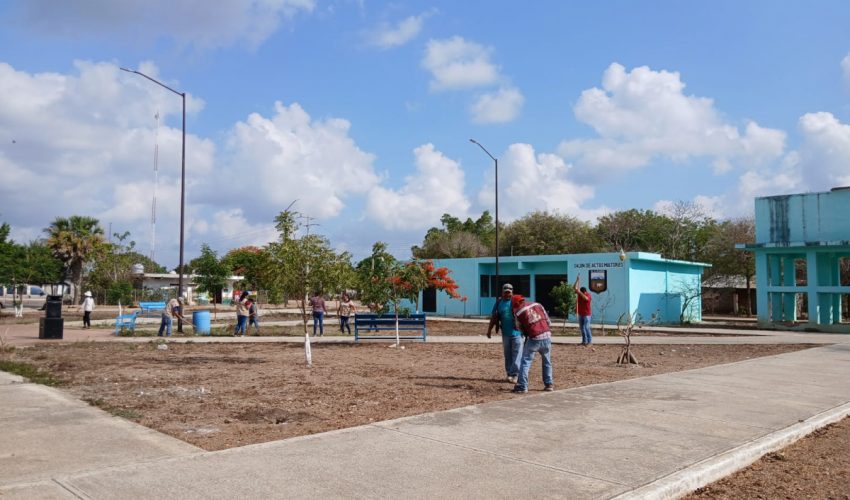 Participa SEBIEN en jornada de medio&nbsp;ambiente