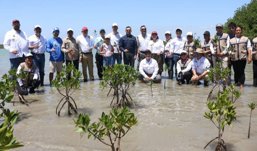Transforman litoral tamaulipeco  con acciones que protegen y&nbsp;educan
