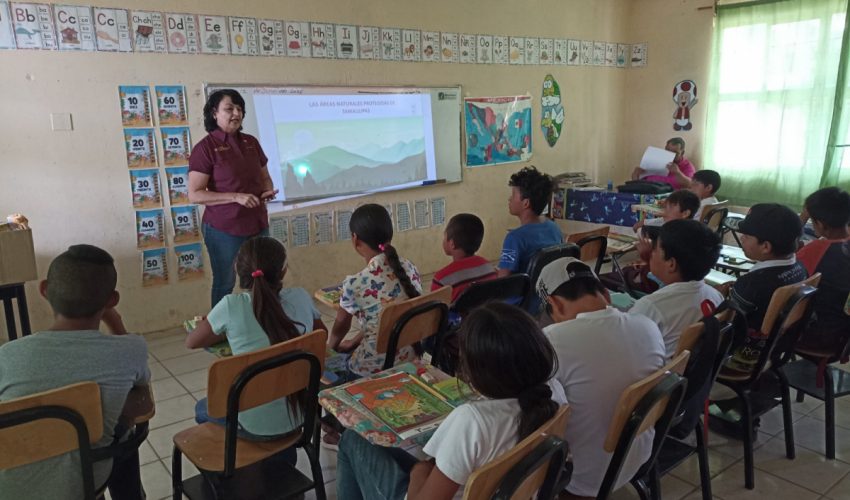 Fomenta SEDUMA conservación de cactáceas, tesoro del&nbsp;altiplano