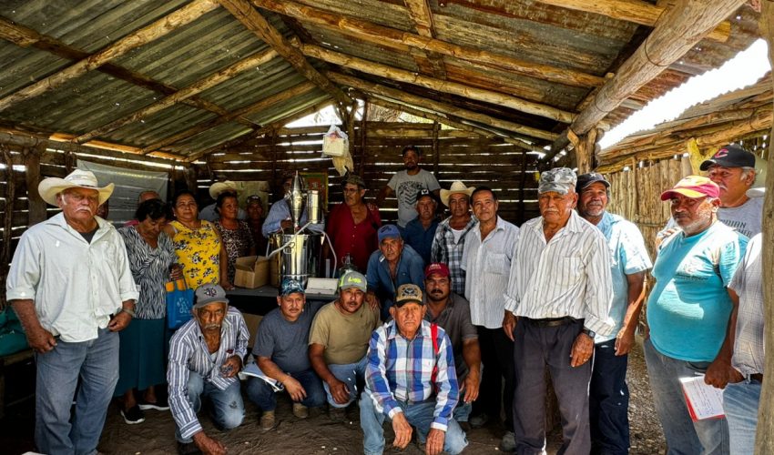 Impulsan extensionismo forestal en apoyo a productores&nbsp;tamaulipecos