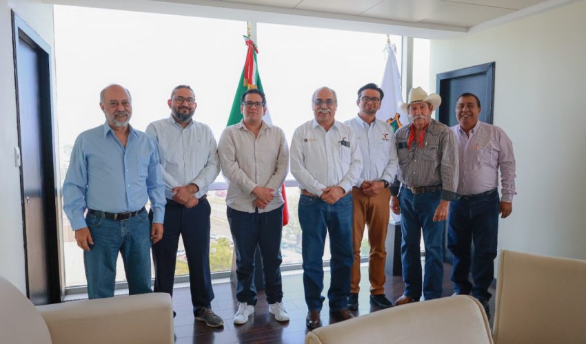 Proyecto de etanol transformará economía de&nbsp;sorgueros