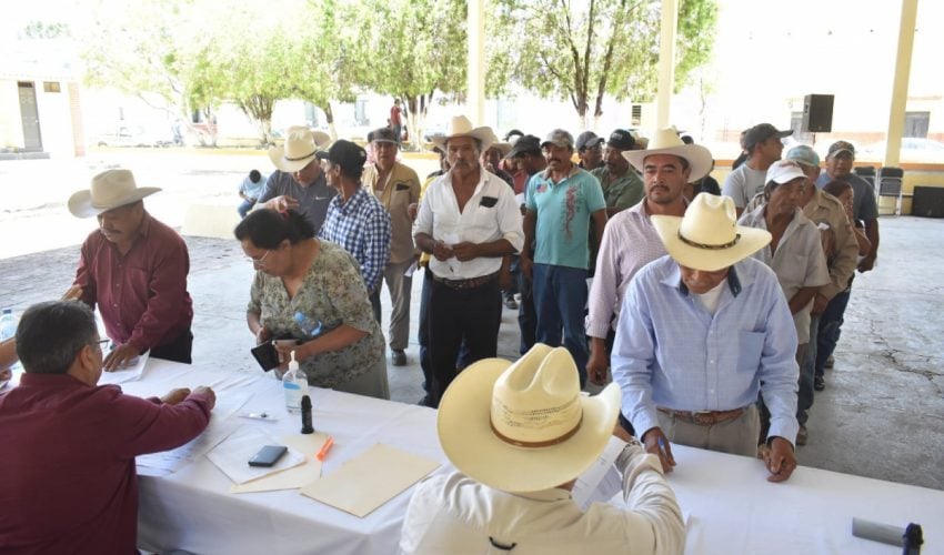 Abre Gobierno del Estado ventanillas para el registro de semilla de&nbsp;calidad