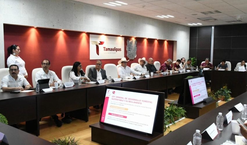 Promueven el crecimiento y formalización de las microempresas&nbsp;rurales