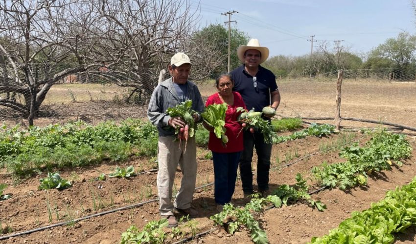 Fomenta Programa de huertos de traspatio alimentación saludable y sostenible en comunidades&nbsp;rurales