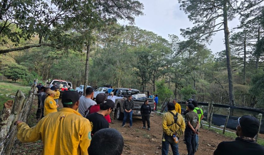 Coordinan acciones para el control del incendio forestal en Reserva de la Biosfera El&nbsp;Cielo