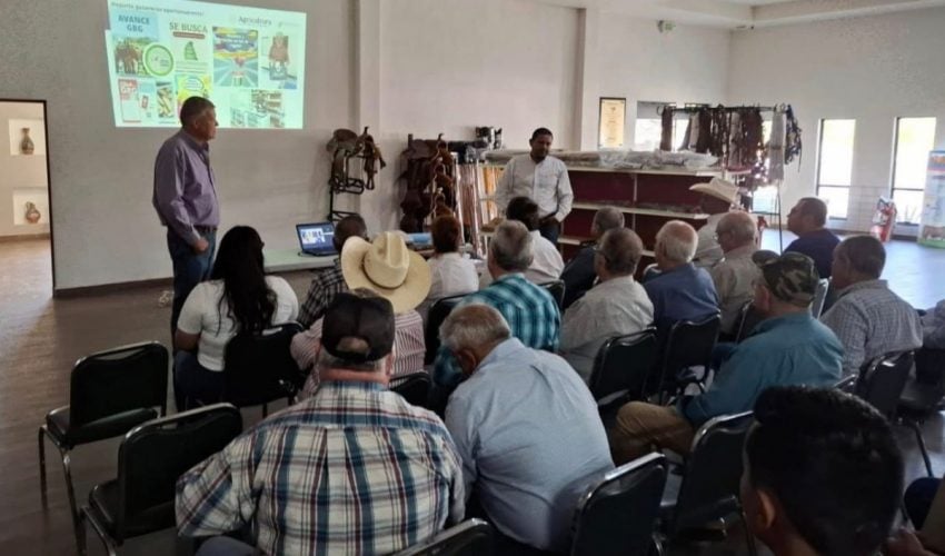 Refuerza Tamaulipas acciones de sanidad animal ante declaratoria de zona libre del gusano&nbsp;barrenador