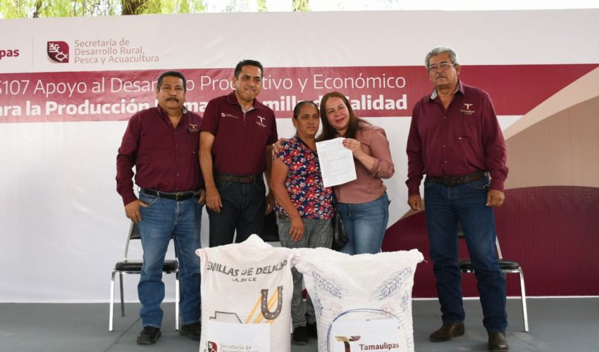 Fortalece Gobierno de Tamaulipas desarrollo agrícola en el altiplano con entrega de semilla de&nbsp;avena