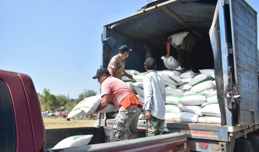 Abren ventanillas para el programa de fertilizante a&nbsp;citricultores