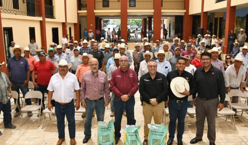 Reciben semilla de maíz productores del municipio de&nbsp;Tula