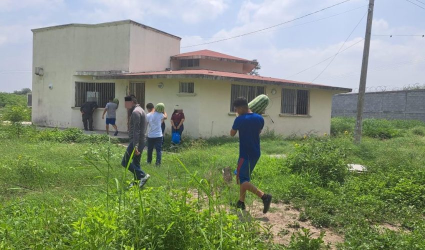 Adolescentes en conflicto con la Ley Penal siembran y cosechan sandías en huertos&nbsp;comunitarios