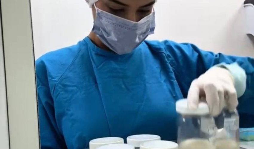 Conmemora SST Día Mundial de la Donación de Leche&nbsp;Humana