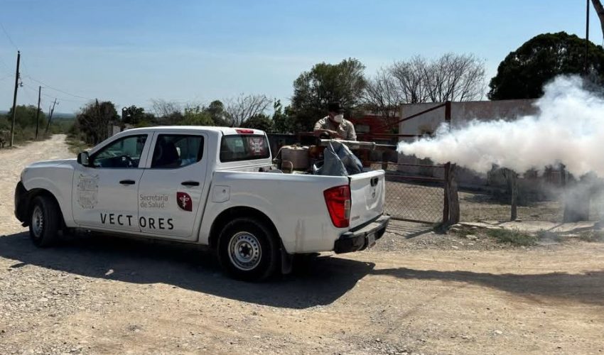 Mantiene sector Salud acciones de combate al&nbsp;dengue