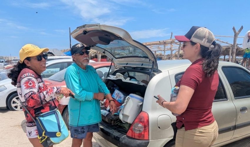 Realiza Secretaría de Turismo sondeo a turistas y&nbsp;visitantes