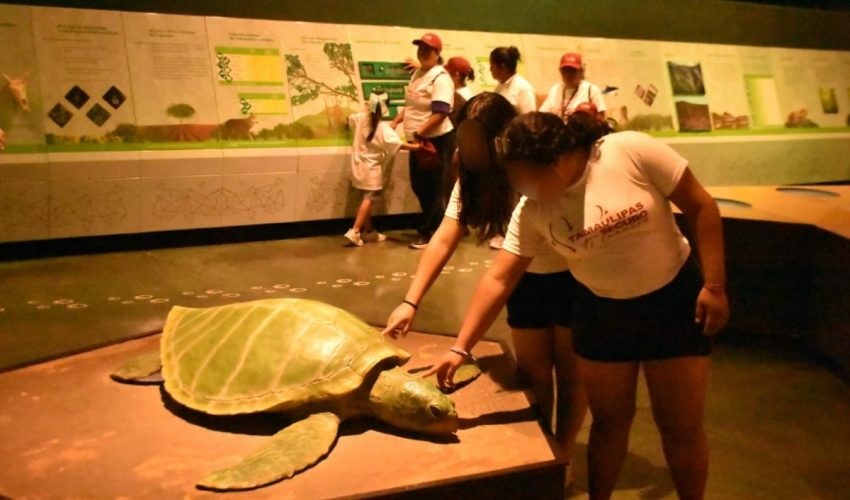 Niñas y niños de Casa Hogar viajaron de Tampico a&nbsp;Victoria