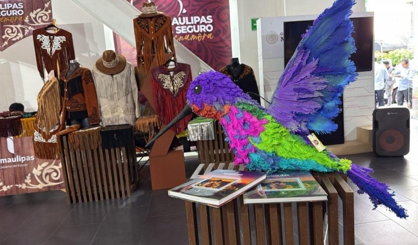 Impulsa Gobierno de Tamaulipas promoción turística nacional en “Punto&nbsp;México”