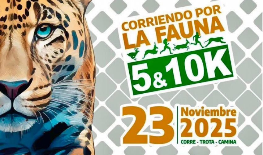 «Corriendo por la Fauna”, una estampida de solidaridad en pro de las&nbsp;especies