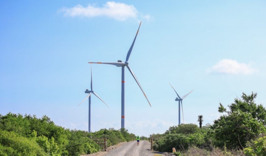“Tamaulipas aspira a ser el principal estado productor de energía eólica del país”: secretario de&nbsp;Energía