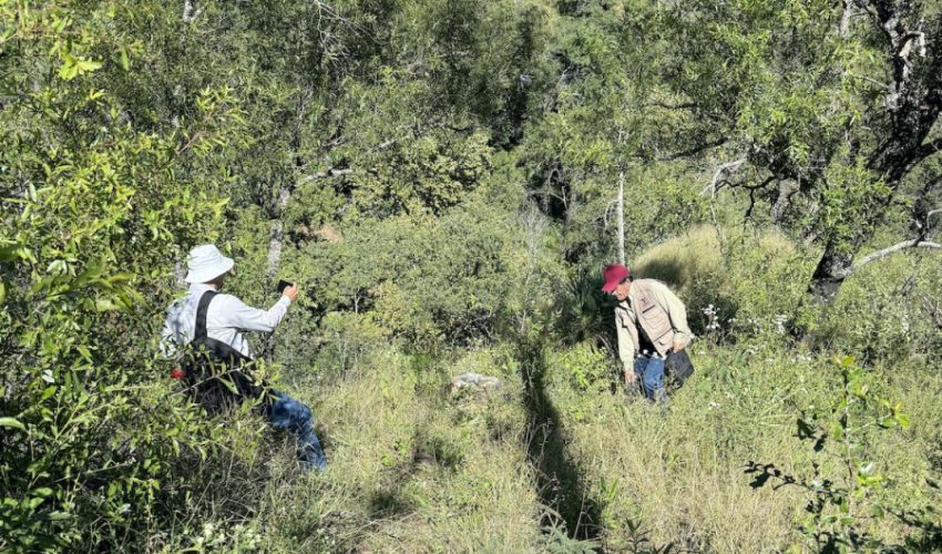 Fortalecen SEDUMA Y CONAFOR estrategia para preservar riqueza ambiental de&nbsp;TAMAULIPAS