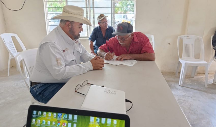 Promueven paquetes tecnológicos para el fortalecimiento del sector&nbsp;pecuario