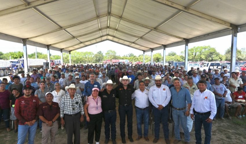 Más de mil 500 productores citrícolas beneficiados con entrega de&nbsp;fertilizante
