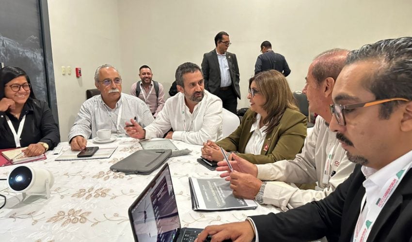 Busca alianza estratégica certificar producción de carbón vegetal y reducir&nbsp;emisiones