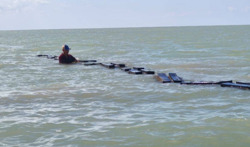 Garantiza supervisión técnica buenas prácticas acuícolas en&nbsp;Tamaulipas