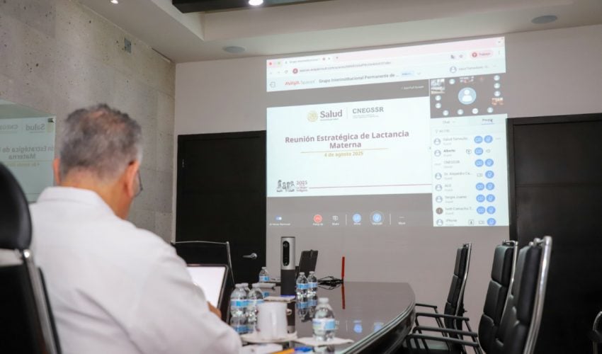 Lactancia materna; prioridad de salud pública:&nbsp;SST